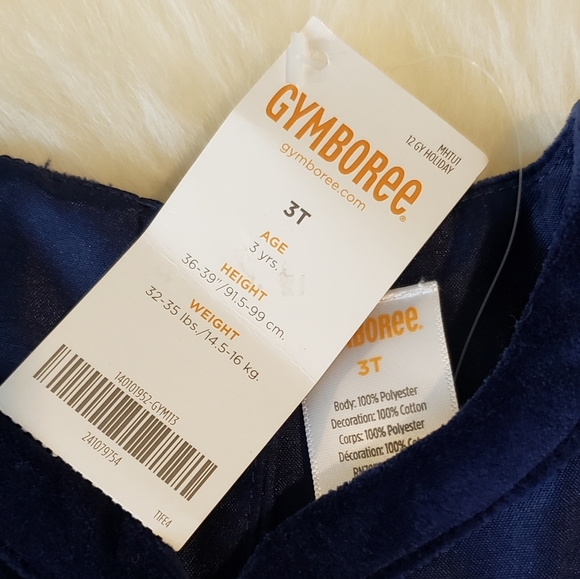 NWT Gymboree 3T Blue Satin Velvet Easter Dress - Picture 7 of 7